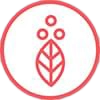 Highest Bioavailability